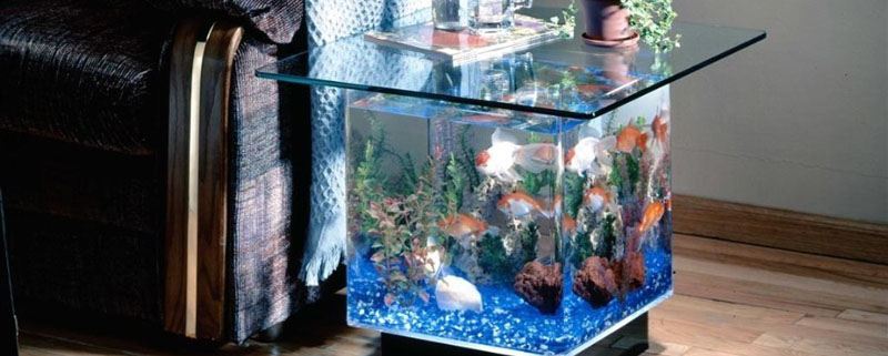 aquarium-tank-service